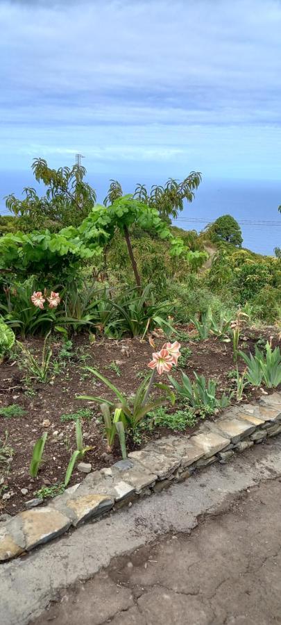 Casa Nieves De Mario Villa Santa Cruz de la Palma  Ngoại thất bức ảnh
