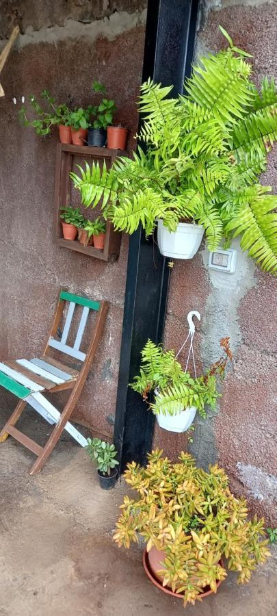 Casa Nieves De Mario Villa Santa Cruz de la Palma  Ngoại thất bức ảnh