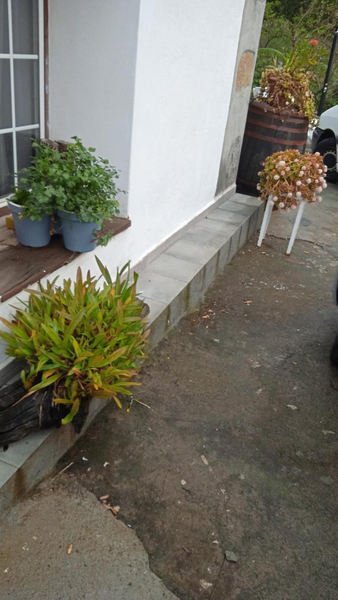 Casa Nieves De Mario Villa Santa Cruz de la Palma  Ngoại thất bức ảnh