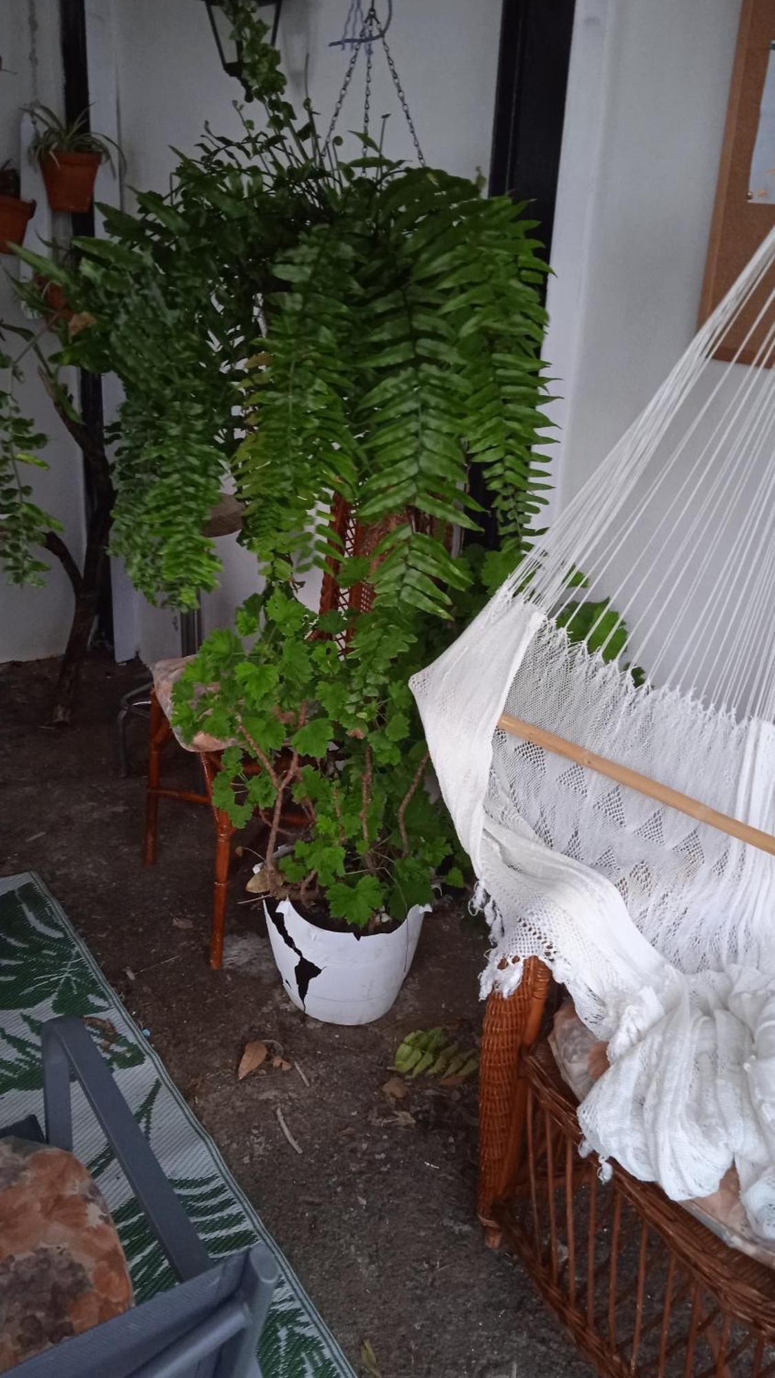 Casa Nieves De Mario Villa Santa Cruz de la Palma  Ngoại thất bức ảnh